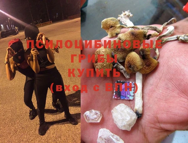 спайс Вязьма