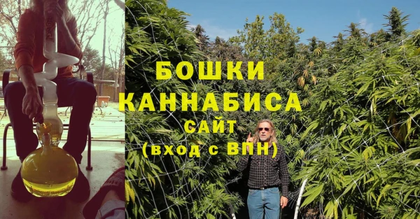 спайс Вязьма